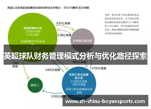 英超球队财务管理模式分析与优化路径探索